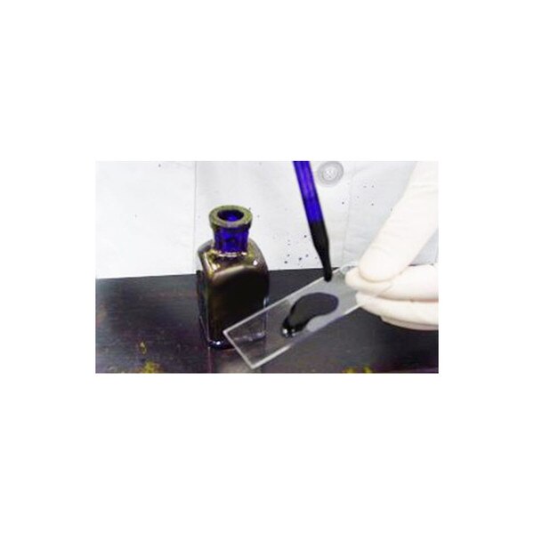 Crystal Violet Stain